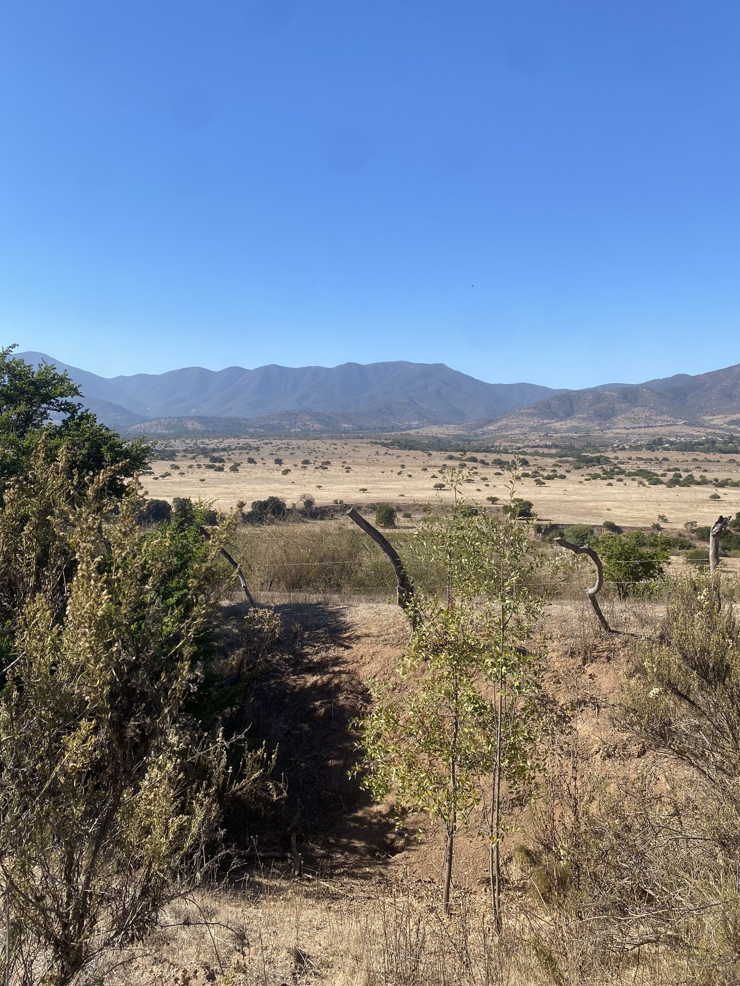 Fundo La Tiza